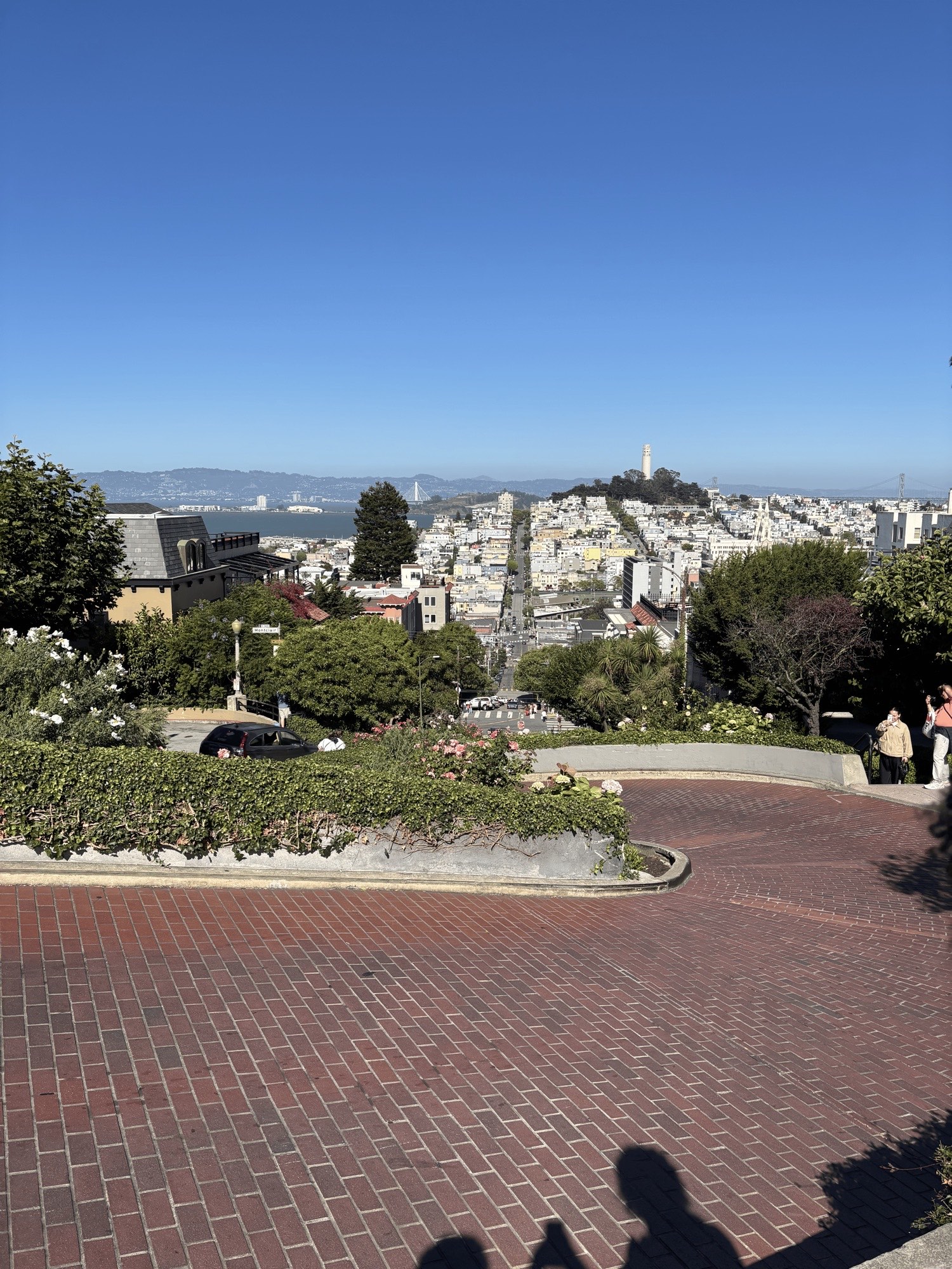 looking down the winding brick turns of Lombard Street towards Coit Tower and the bay