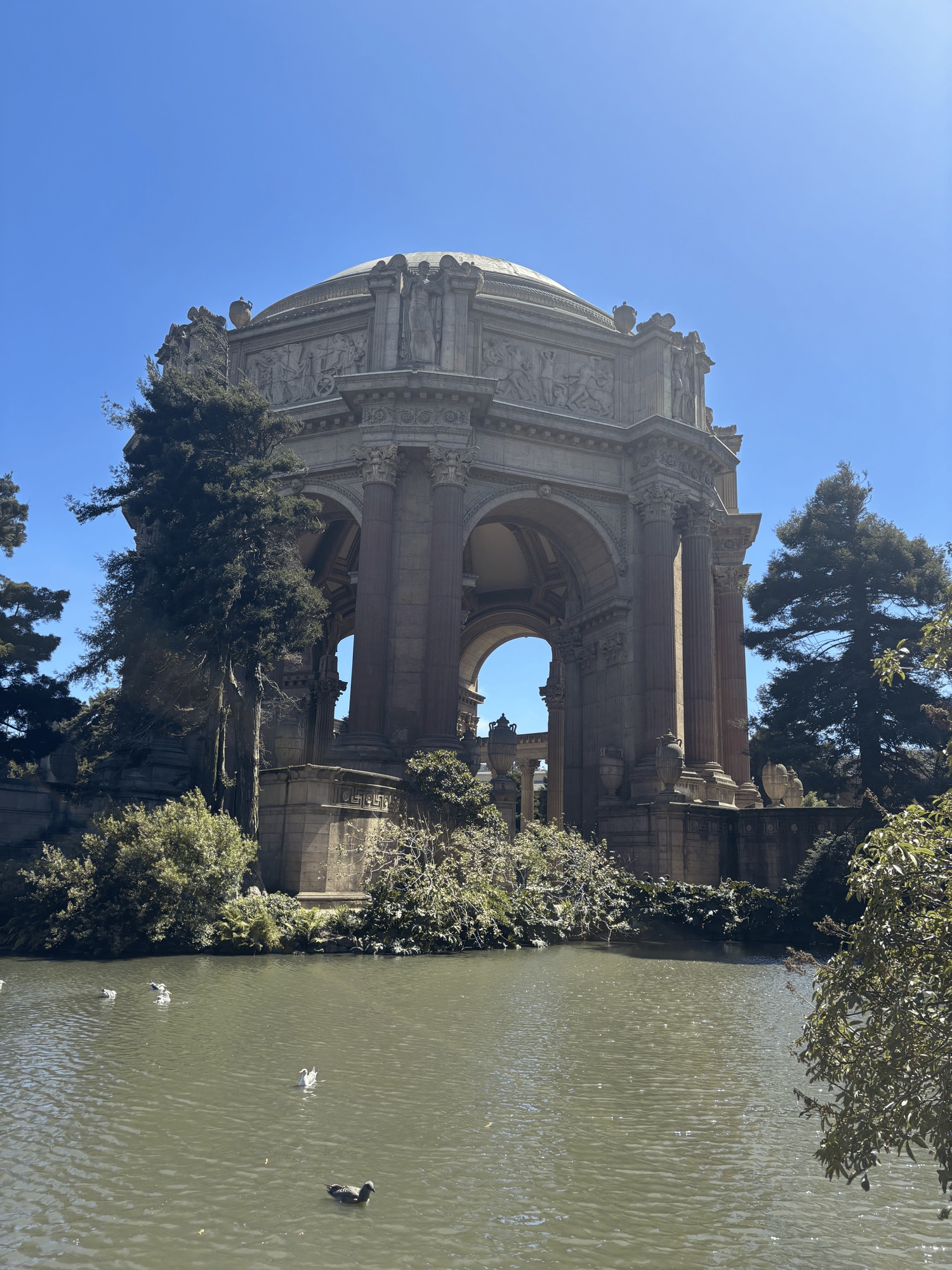 the domed rotunda of the Palace of Fine Arts behind its lagoon