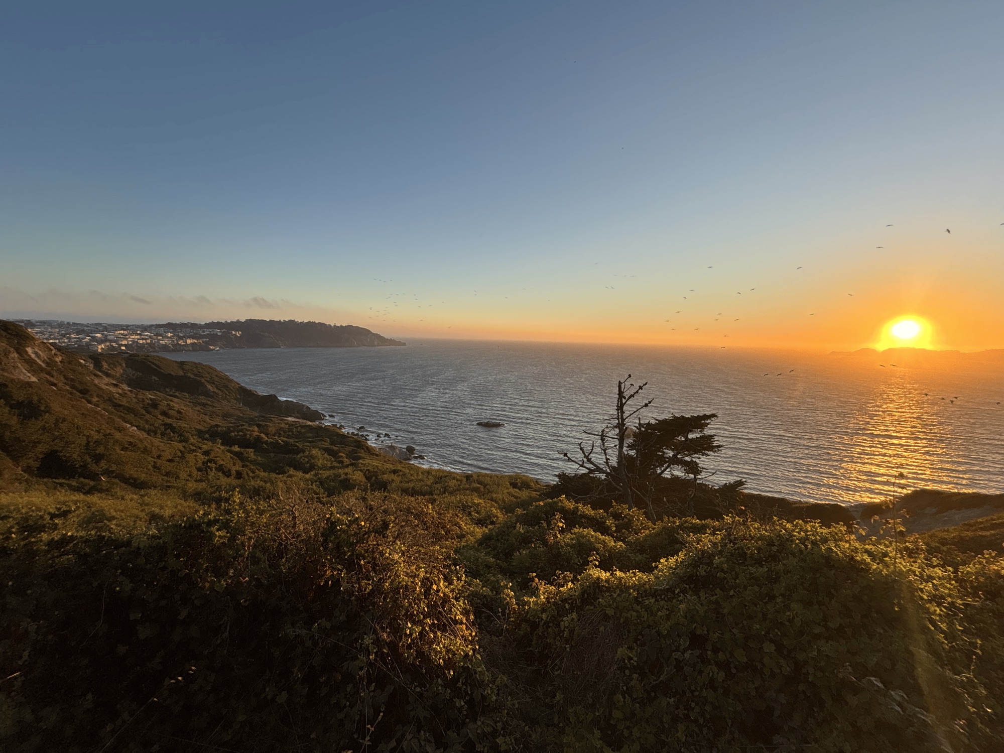 the sun setting over the Pacific Ocean from a coastal bluff in San Francisco
