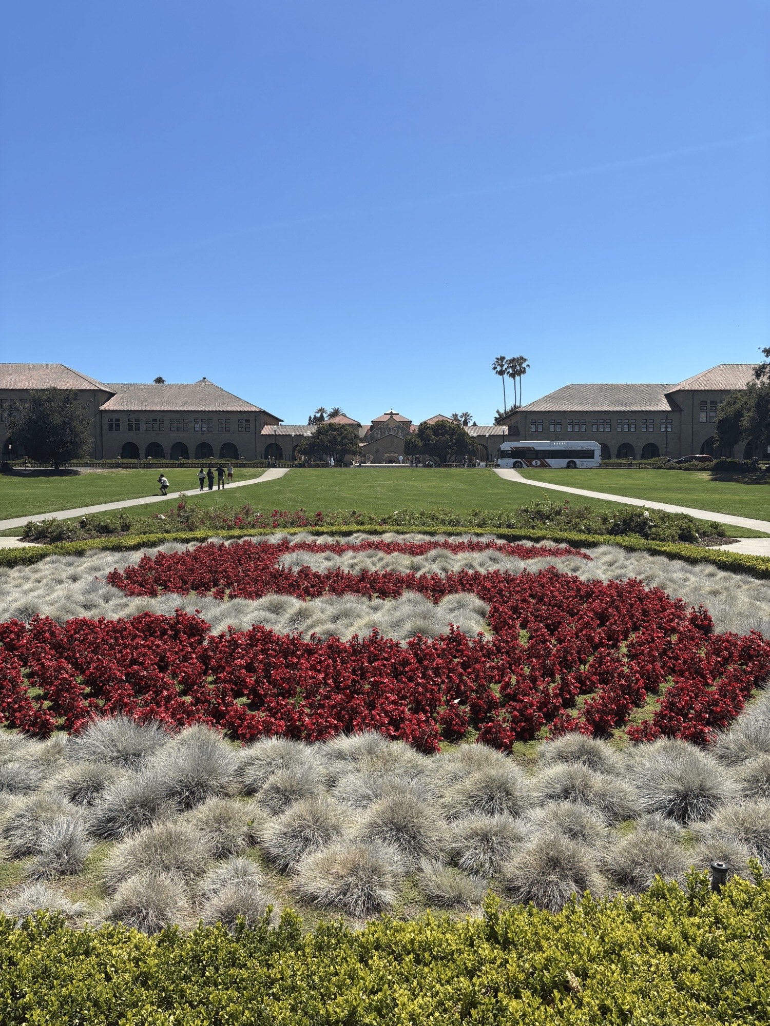 the Stanford University main quad behind a flowerbed shaped like the Stanford S logo